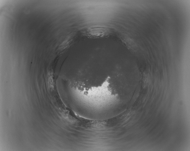 X0000062861394200601271518