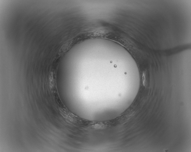 X0000062861395200601271518