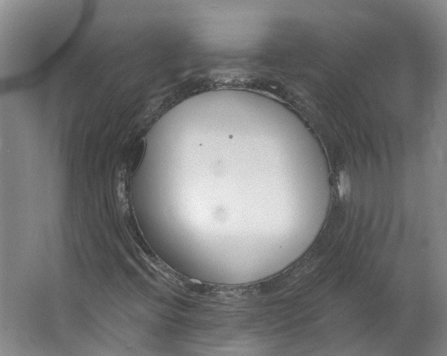 X0000062861396200601271518