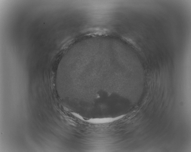 X0000062861399200601271518