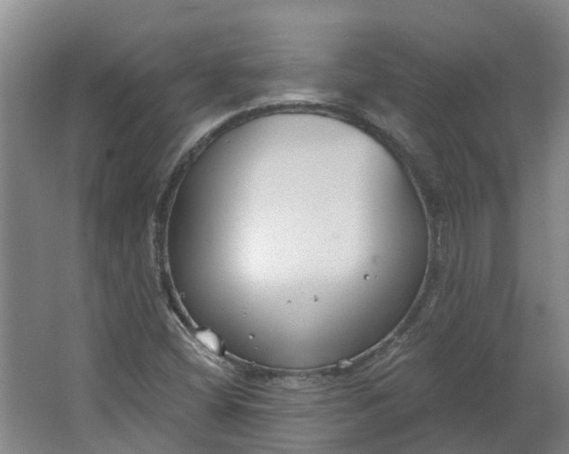 X0000062861404200601271518