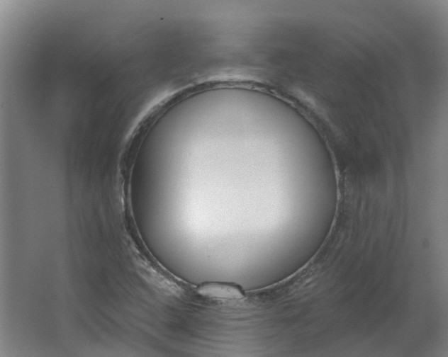 X0000062861408200601271518