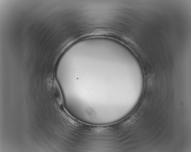 X0000062861409200601271518