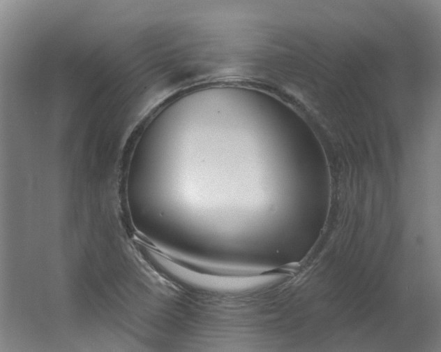 X0000062861410200601271518