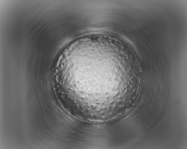 X0000062861411200601271518