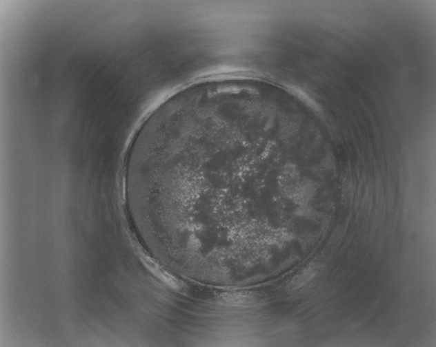 X0000062861413200601271518