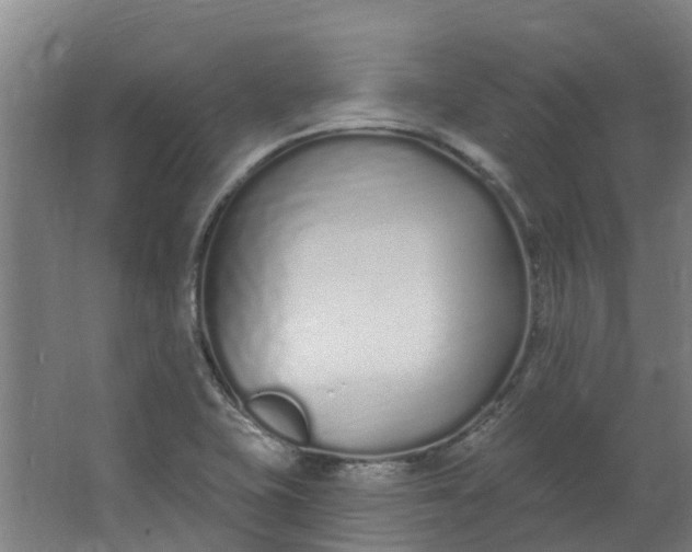 X0000062861415200601271518