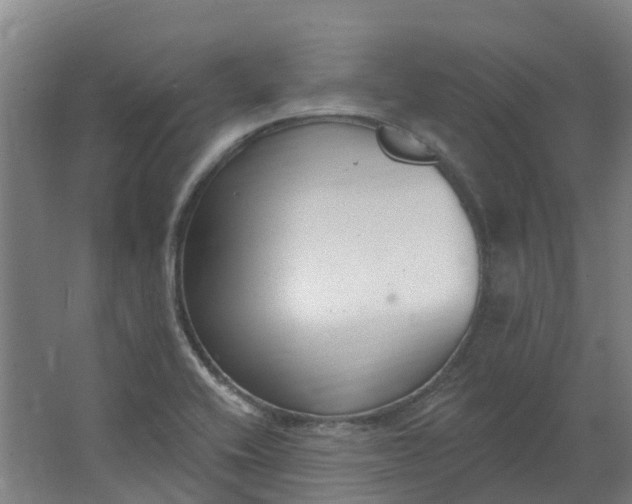 X0000062861416200601271518