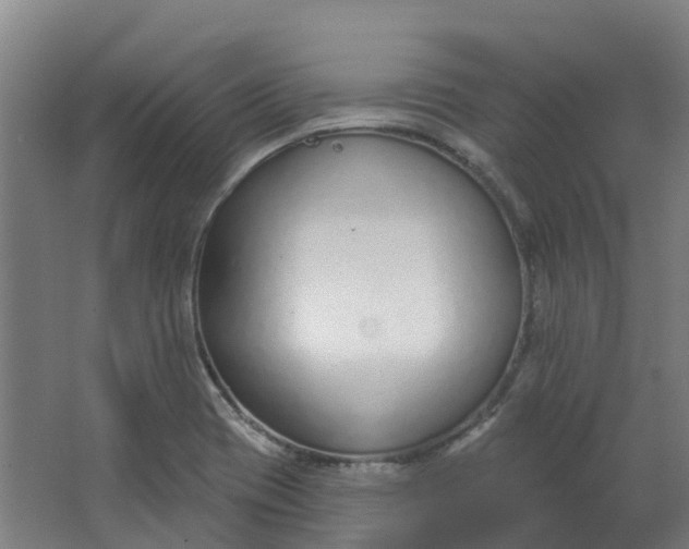 X0000062861417200601271518