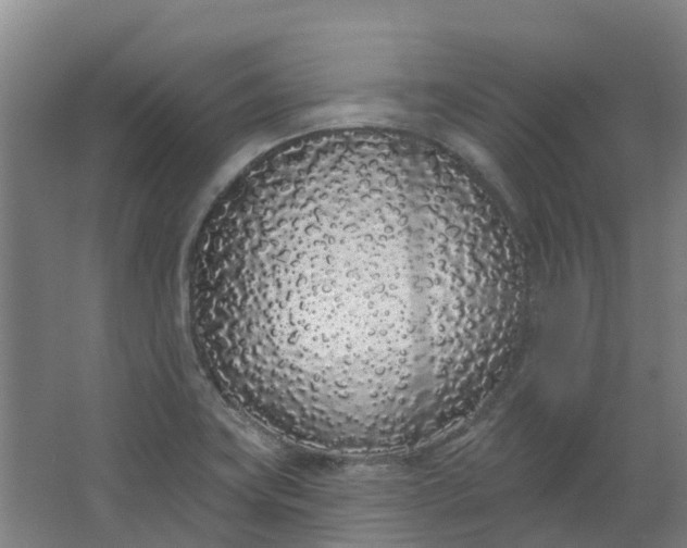 X0000062861419200601271518