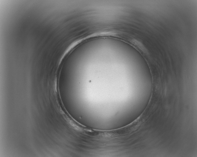 X0000062861420200601271518