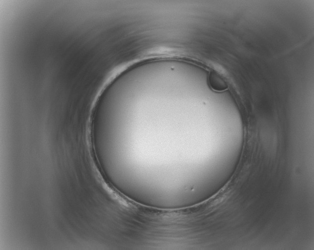 X0000062861421200601271518