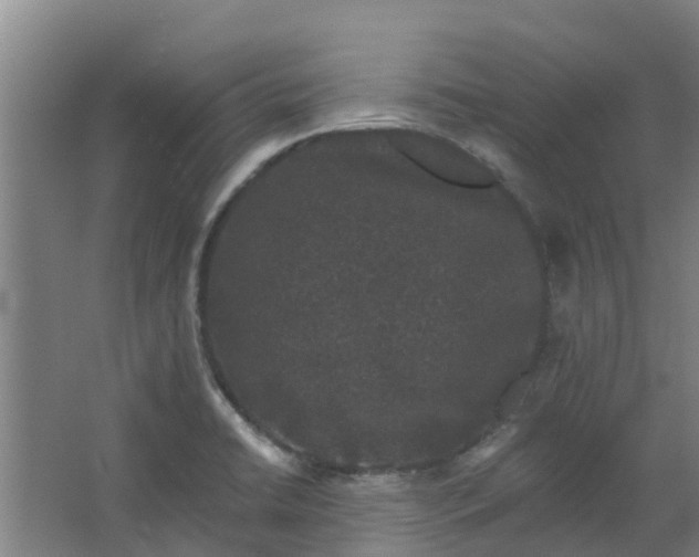 X0000062861422200601271518