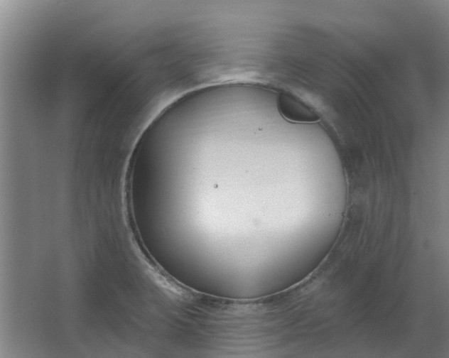 X0000062861423200601271518