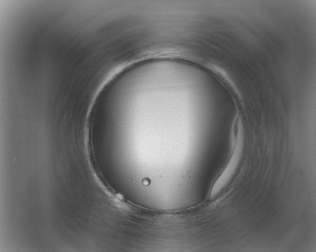 X0000062861424200601271518