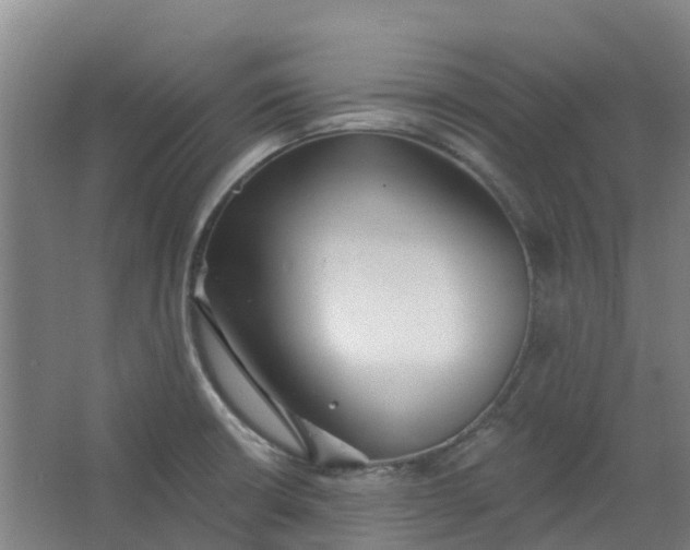 X0000062861426200601271518