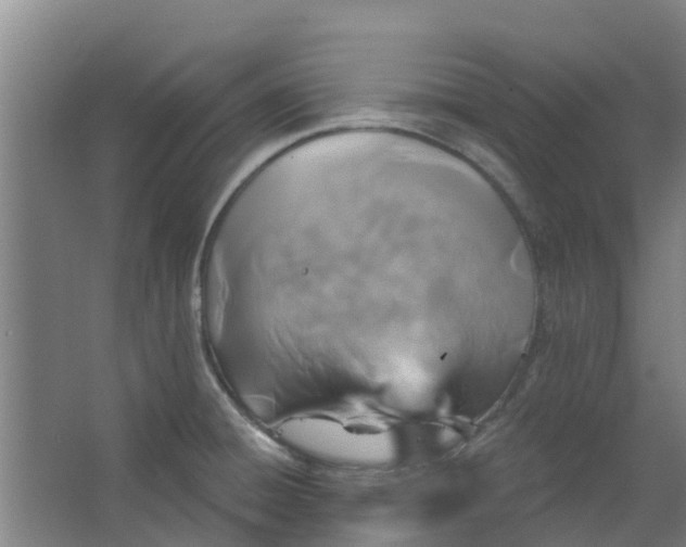 X0000062861428200601271518