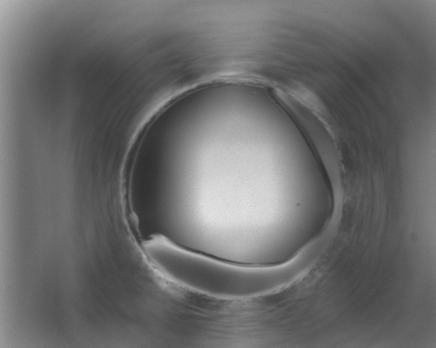 X0000062861430200601271518