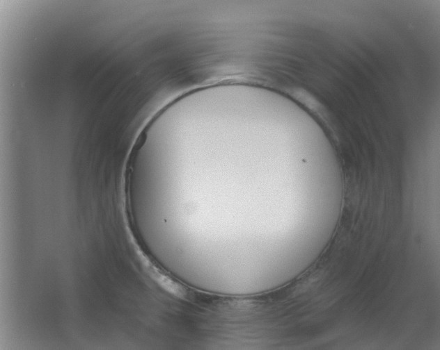 X0000062861431200601271518