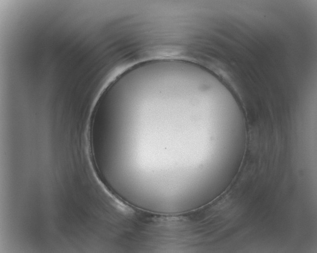 X0000062861432200601271518