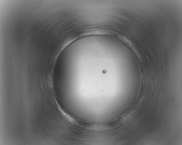 X0000062861433200601271518