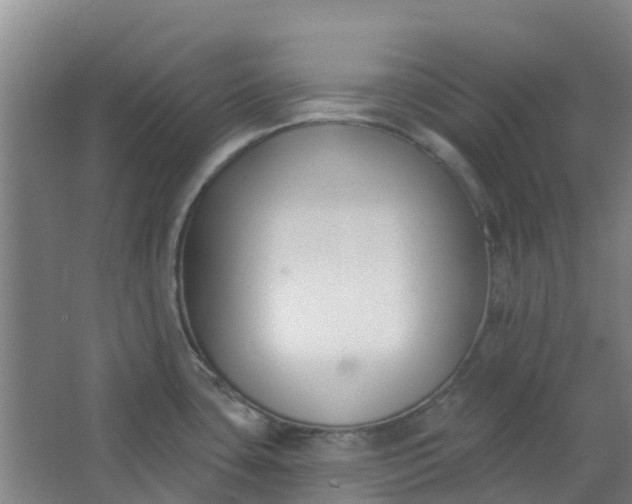 X0000062861435200601271518