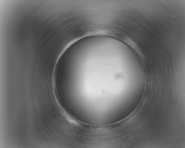 X0000062861436200601271518