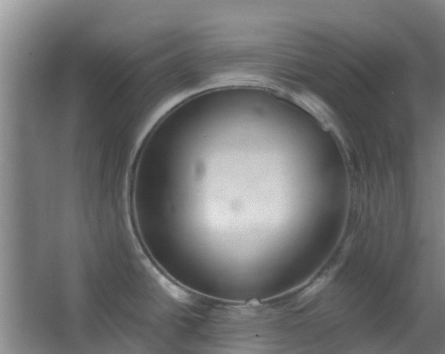 X0000062861438200601271518