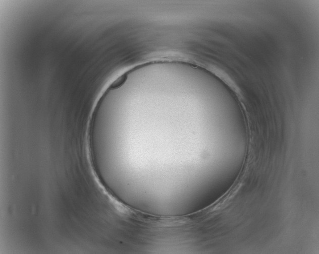 X0000062861440200601271518