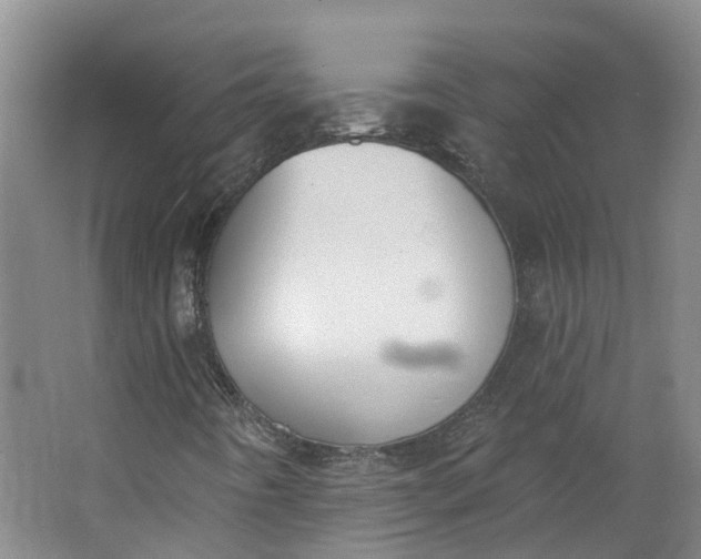 X0000062861442200601271518