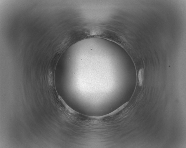 X0000062861443200601271518