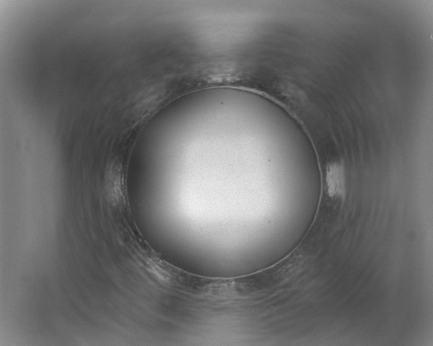 X0000062861444200601271518