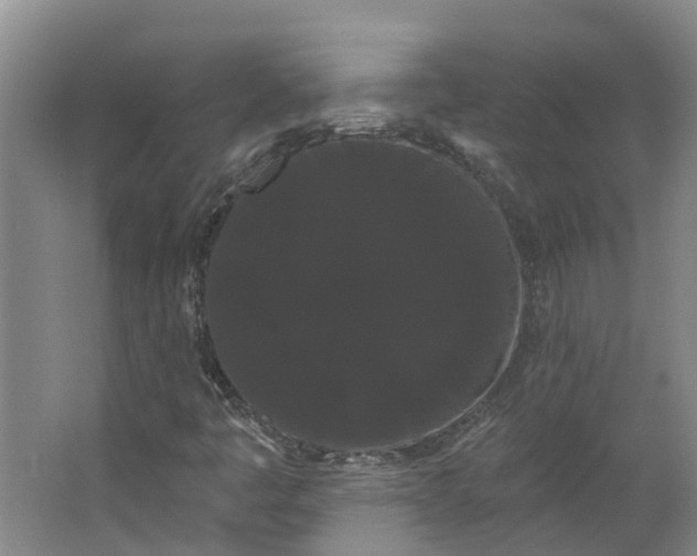 X0000062861445200601271518