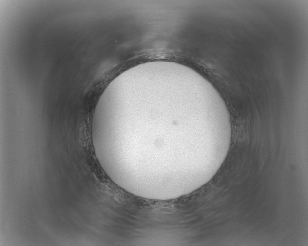 X0000062861446200601271518