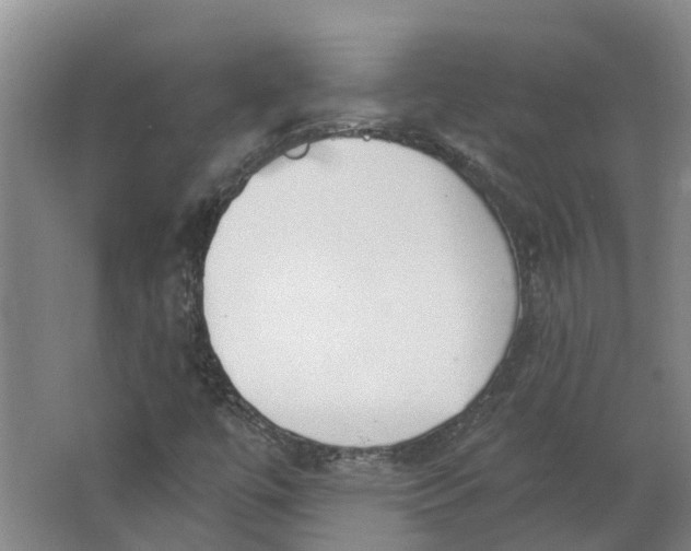 X0000062861447200601271518