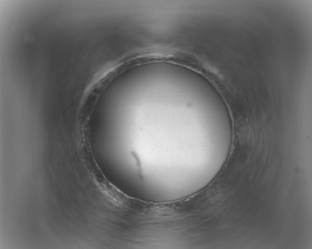 X0000062861448200601271518