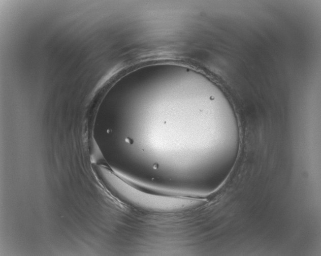 X0000062861450200601271518