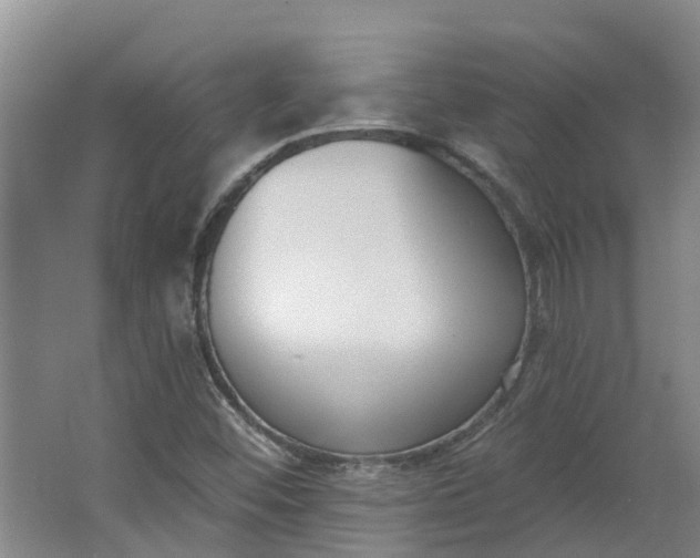 X0000062861452200601271517