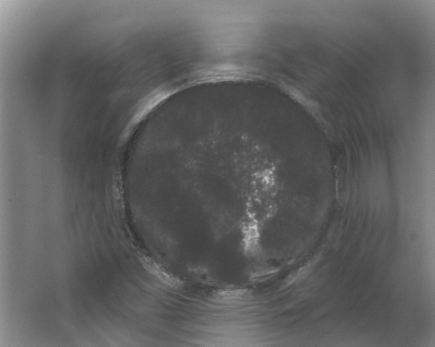 X0000062861453200601271517