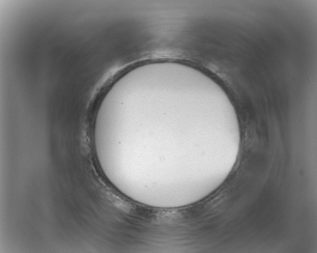 X0000062861454200601271517