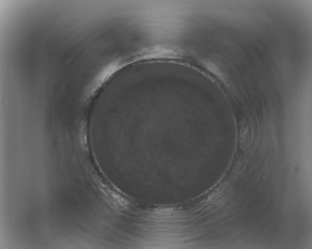 X0000062861455200601271517