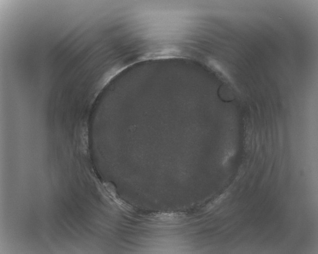 X0000062861457200601271517