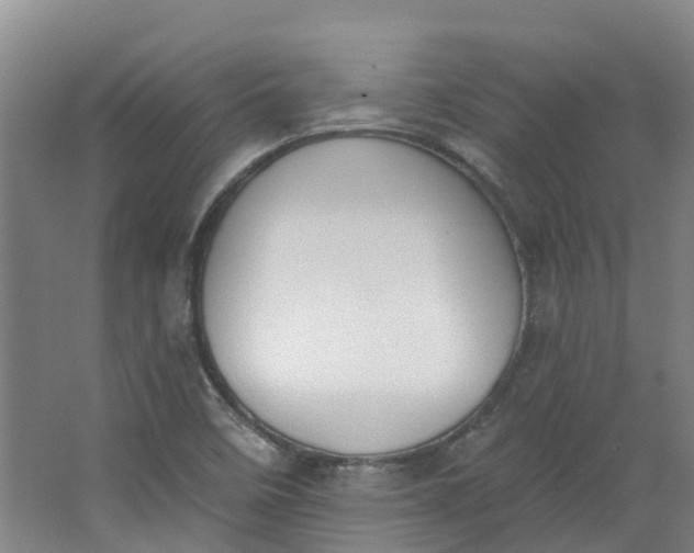 X0000062861458200601271517