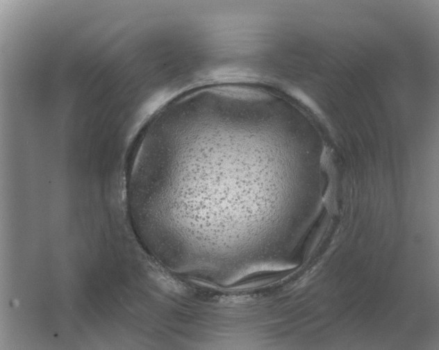 X0000062861461200601271517