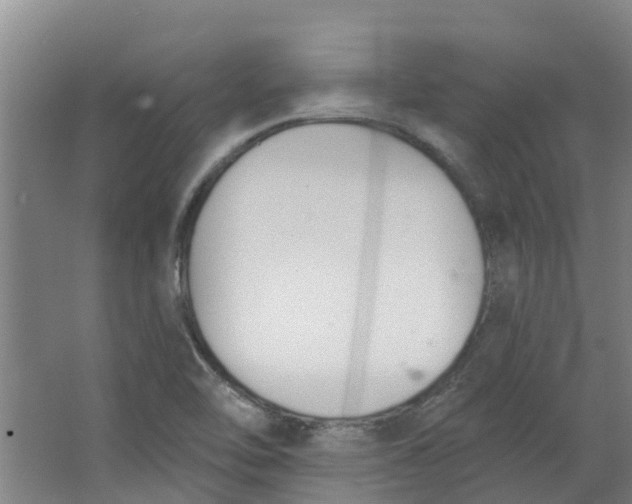 X0000062861462200601271517