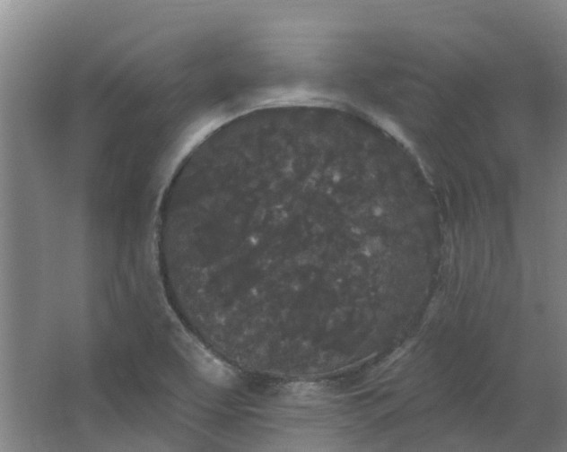 X0000062861463200601271517