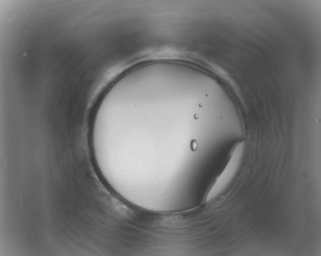 X0000062861464200601271517