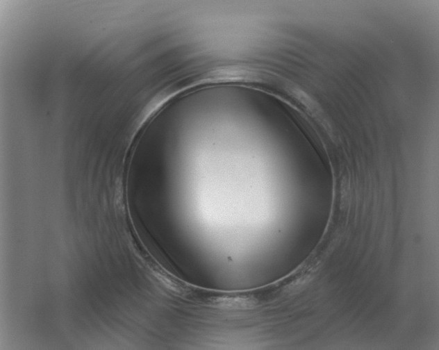 X0000062861465200601271517