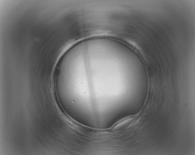 X0000062861467200601271517