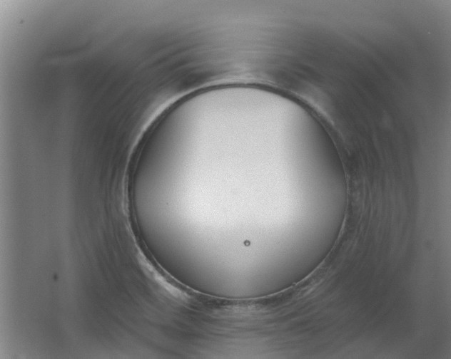 X0000062861468200601271517